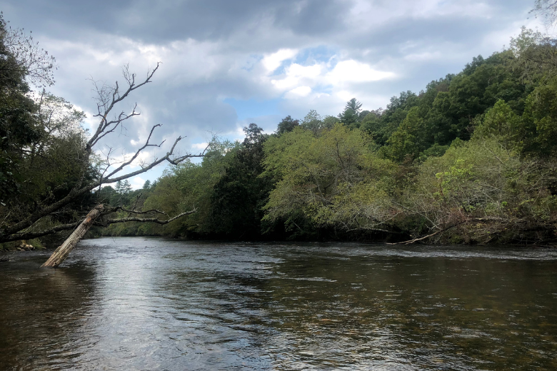 Things To Do Cartecay River